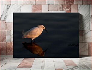 Πίνακας, Egret Reflecting in Water Τσικνιάς που αντανακλάται στο νερό