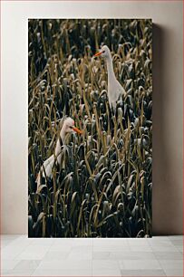 Πίνακας, Egrets in Tall Grass Τσικνοτσικνιάδες στο ψηλό γρασίδι