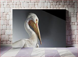 Πίνακας, Elegant Bird Κομψό πουλί