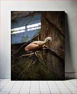 Πίνακας, Elegant Bird on Tree Κομψό πουλί στο δέντρο