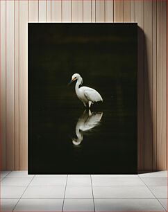 Πίνακας, Elegant Egret Reflection Κομψή αντανάκλαση τσικνιάς