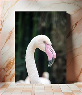 Πίνακας, Elegant Flamingo Κομψό Φλαμίνγκο