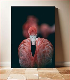 Πίνακας, Elegant Flamingo Κομψό Φλαμίνγκο