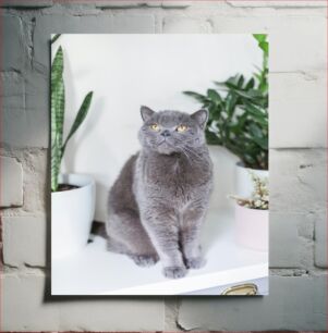 Πίνακας, Elegant Gray Cat with Plants Κομψή γκρίζα γάτα με φυτά