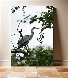 Πίνακας, Elegant Heron in the Trees Κομψός ερωδιός στα δέντρα