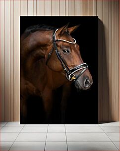 Πίνακας, Elegant Horse Portrait Κομψό Πορτρέτο Αλόγου