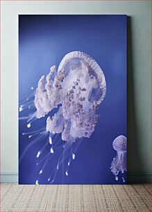 Πίνακας, Elegant Jellyfish in Blue Ocean Κομψή μέδουσα στον γαλάζιο ωκεανό