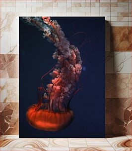 Πίνακας, Elegant Jellyfish in Deep Blue Waters Κομψή μέδουσα σε καταγάλανα νερά