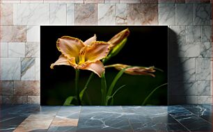 Πίνακας, Elegant Lily Flower Κομψό λουλούδι κρίνου
