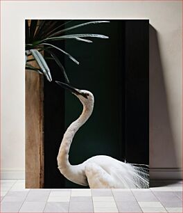 Πίνακας, Elegant White Bird Κομψό Λευκό Πουλί