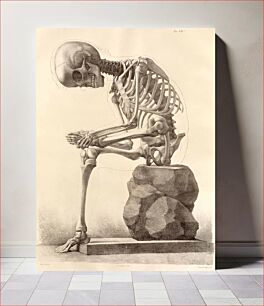 Πίνακας, Elementi di anatomia, Elements of anatomy (1873-1839) by Francesco Bertinatti and Mecco Leone