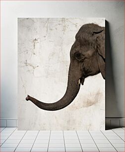 Πίνακας, Elephant Against Concrete Ελέφαντας ενάντια στο σκυρόδεμα