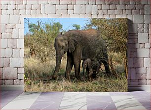 Πίνακας, Elephant and Calf in the Wild Elephant and Calf in the Wild