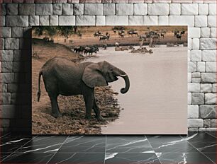 Πίνακας, Elephant and Zebras at the Watering Hole Ελέφαντας και ζέβρες στο ποτιστήρι