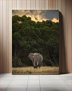 Πίνακας, Elephant at Dusk Ελέφαντας στο σούρουπο