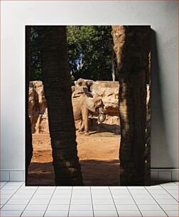 Πίνακας, Elephant at the Zoo Ελέφαντας στο ζωολογικό κήπο
