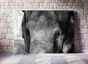 Πίνακας, Elephant Close-up in Black and White Κοντινό πλάνο ελέφαντα σε ασπρόμαυρο