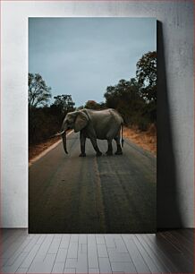 Πίνακας, Elephant Crossing Διάβαση ελέφαντα