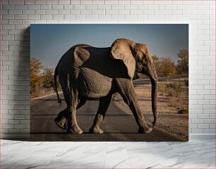 Πίνακας, Elephant Crossing the Road Ελέφαντας που διασχίζει το δρόμο