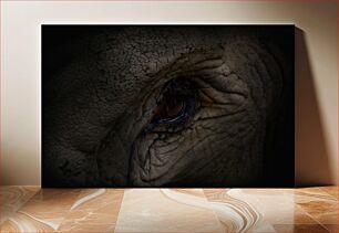 Πίνακας, Elephant Eye Close-Up Κοντινό πλάνο με μάτι ελέφαντα