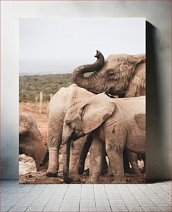 Πίνακας, Elephant Family in the Wild Οικογένεια ελεφάντων στην άγρια ​​φύση