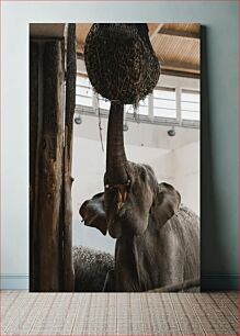 Πίνακας, Elephant Feeding Σίτιση ελέφαντα