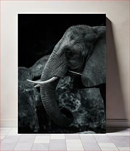 Πίνακας, Elephant in Detail Ελέφαντας στη λεπτομέρεια