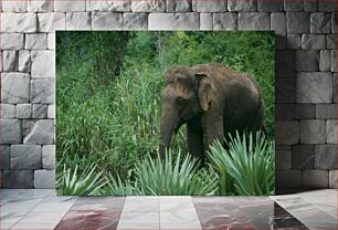Πίνακας, Elephant in the Jungle Ελέφαντας στη ζούγκλα