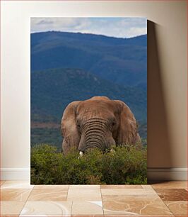Πίνακας, Elephant in the Mountains Ελέφαντας στα βουνά