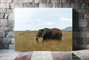 Πίνακας, Elephant in the Savanna Ελέφαντας στη Σαβάνα