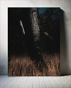 Πίνακας, Elephant in the Shadows Ελέφαντας στις σκιές