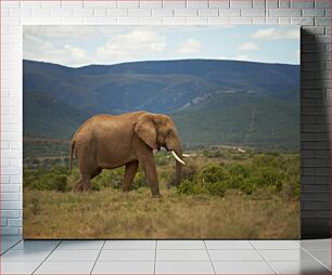 Πίνακας, Elephant in the Wilderness Ελέφαντας στην ερημιά