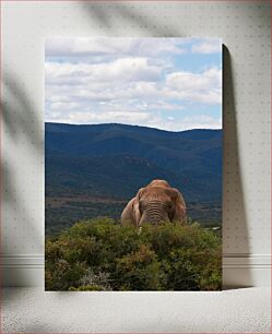 Πίνακας, Elephant in the Wilderness Ελέφαντας στην ερημιά