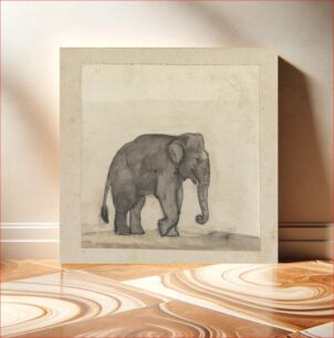 Πίνακας, Elephant