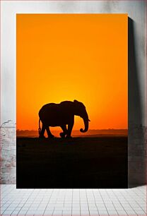 Πίνακας, Elephant Silhouette at Sunset Σιλουέτα ελέφαντα στο ηλιοβασίλεμα