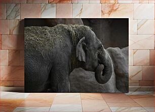 Πίνακας, Elephant with Hay Ελέφαντας με σανό