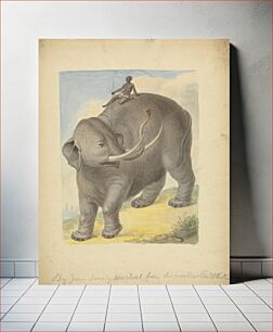 Πίνακας, Elephant with Rider