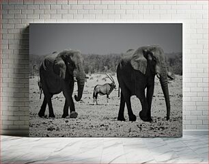 Πίνακας, Elephants and Antelope in the Wild Οι ελέφαντες και η αντιλόπη στην άγρια ​​φύση