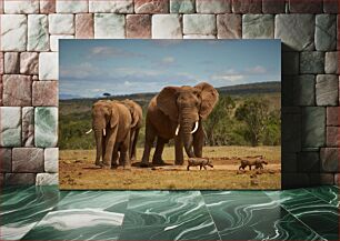 Πίνακας, Elephants and Warthogs in the Wild Οι ελέφαντες και οι αγριόχοιροι στην άγρια ​​φύση