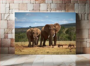 Πίνακας, Elephants and Warthogs in the Wild Οι ελέφαντες και οι αγριόχοιροι στην άγρια ​​φύση
