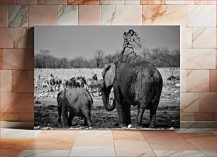 Πίνακας, Elephants and Zebras in the Wild Ελέφαντες και ζέβρες στην άγρια ​​φύση