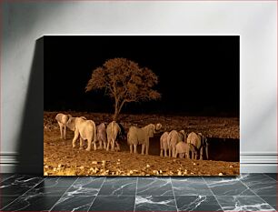 Πίνακας, Elephants at Night Ελέφαντες τη νύχτα