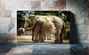 Πίνακας, Elephants at the Zoo Ελέφαντες στο ζωολογικό κήπο