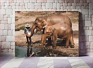 Πίνακας, Elephants by the Water Elephants by the Water