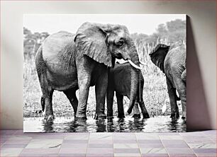 Πίνακας, Elephants by the Water Elephants by the Water