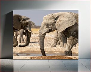 Πίνακας, Elephants Drinking at a Waterhole Ελέφαντες που πίνουν σε μια νεροτρύπα