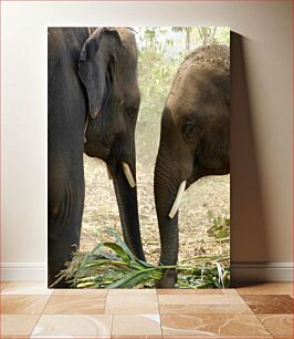 Πίνακας, Elephants Eating Together Ελέφαντες που τρώνε μαζί