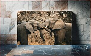 Πίνακας, Elephants Embracing Ελέφαντες που αγκαλιάζουν