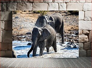 Πίνακας, Elephants Enjoying Water Ελέφαντες που απολαμβάνουν το νερό