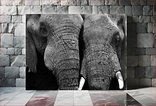 Πίνακας, Elephants in Close-Up Ελέφαντες σε κοντινό πλάνο
